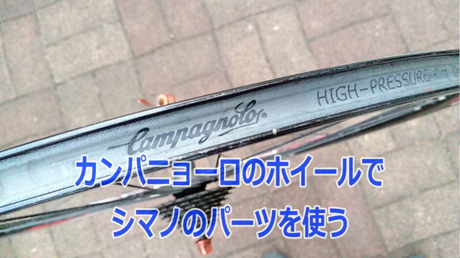 カンパニョーロ（Campagnolo）のホイールにSHIMANOフリーの組合せ